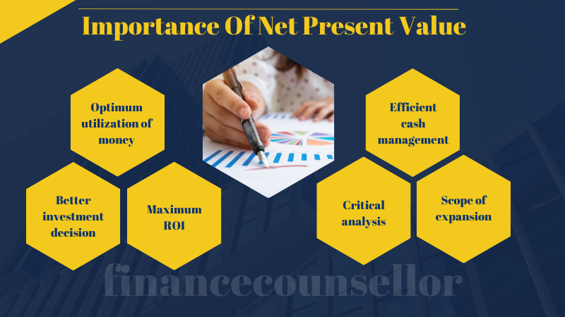 Importance of net present value